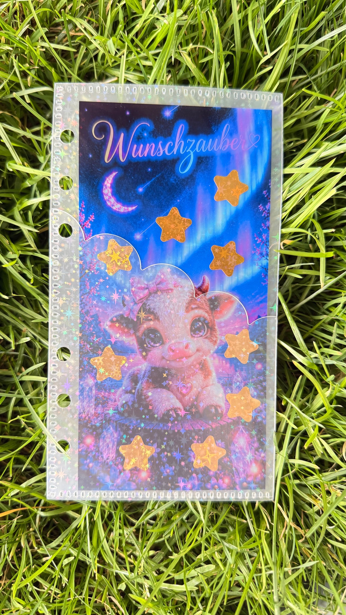 Klarsichtchallenge mit Glitzerhülle für A6 Binder Sparchallenge