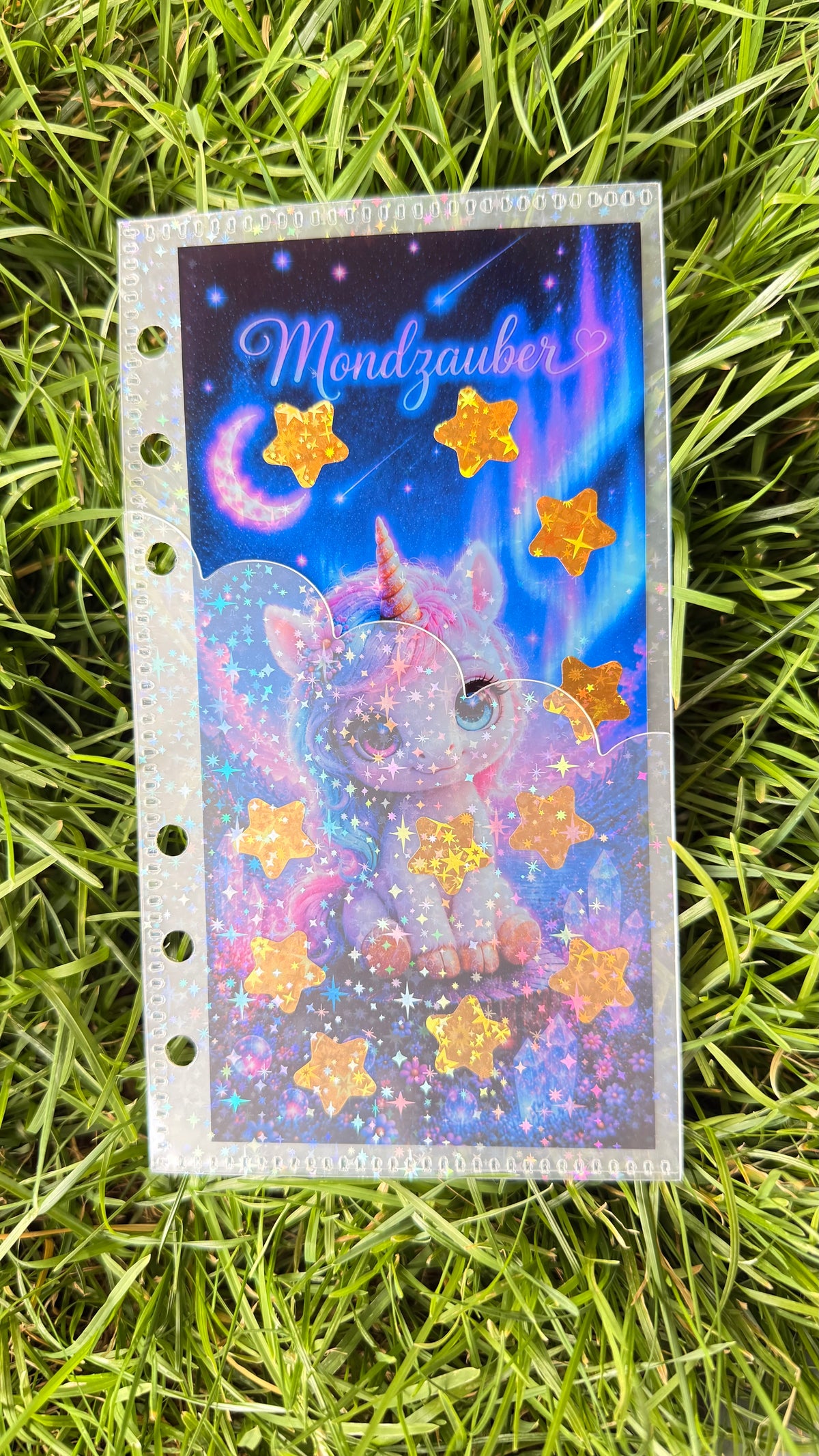 Klarsichtchallenge mit Glitzerhülle für A6 Binder Sparchallenge