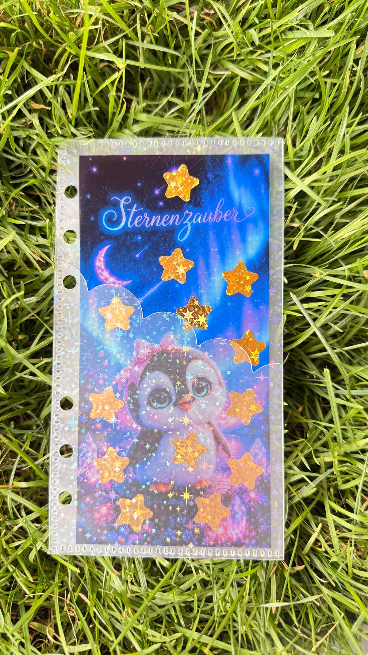 Klarsichtchallenge mit Glitzerhülle für A6 Binder Sparchallenge