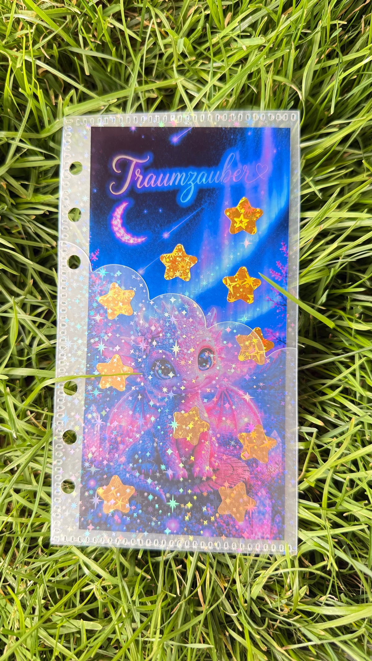 Klarsichtchallenge mit Glitzerhülle für A6 Binder Sparchallenge